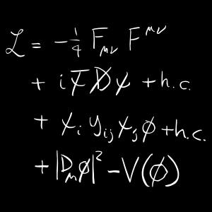 Standard Model of Physics