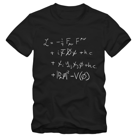 Standard Model of Physics